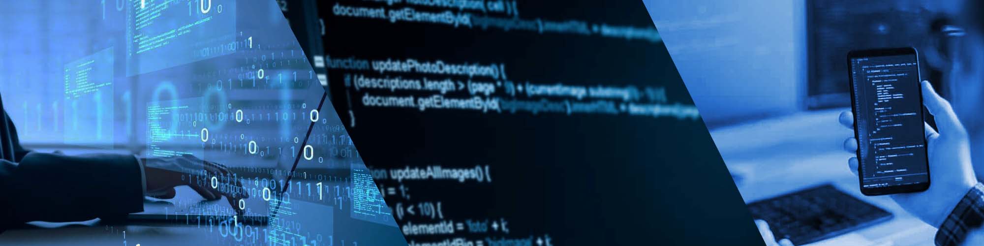 Desarrollo de software